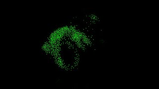Boids in Godot | Simulation with 1000 Agents