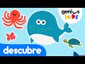 Los animales marinos | Videos para niños | Aprende jugando