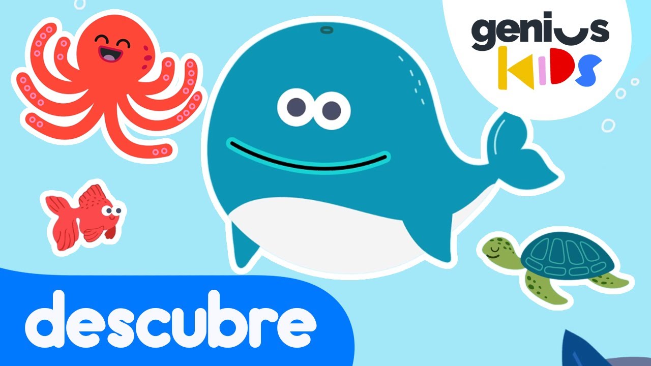 Los animales marinos | Videos para niños | Aprende jugando