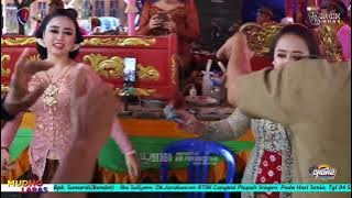 Tlingsingan kalajeng ireng manis, si kucing//karawitan mudho laras//tata//cokek sragenan