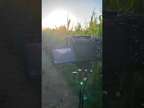 Sunset Filming Sony FX30 Sony Fx30 Filmmaking Cinematic Video Film Camera Interstellar 