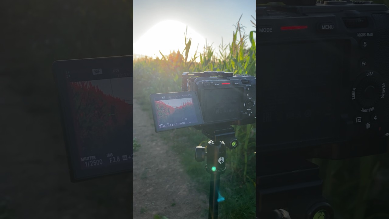 Sunset filming - Sony FX30 