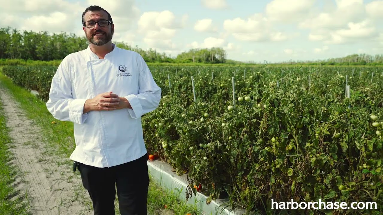 Food is Medicine Mindset | HarborChase Senior Living