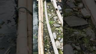 Stop dumping chemicals & plastics into rivers, lakes, and oceans Guide
