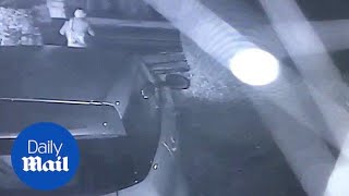 CCTV shows man rummaging through car and stealing bizarre items - Daily Mail