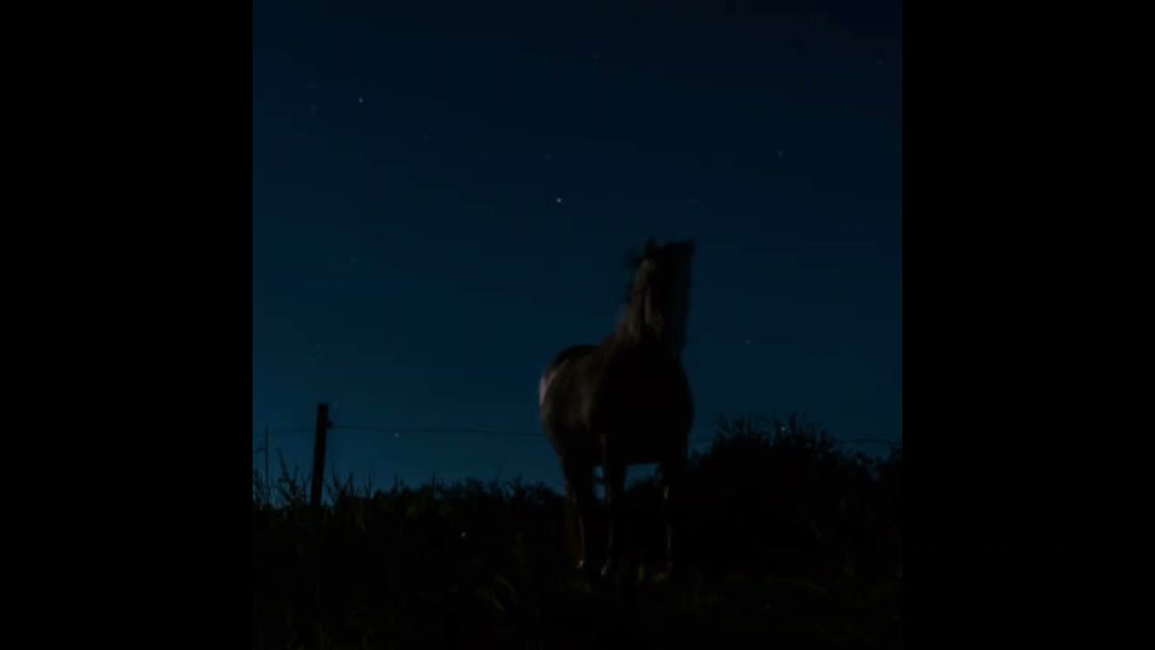 [FREE FOR PROFIT] Yeat ADL x Sapjer Type Beat |Interstellar 