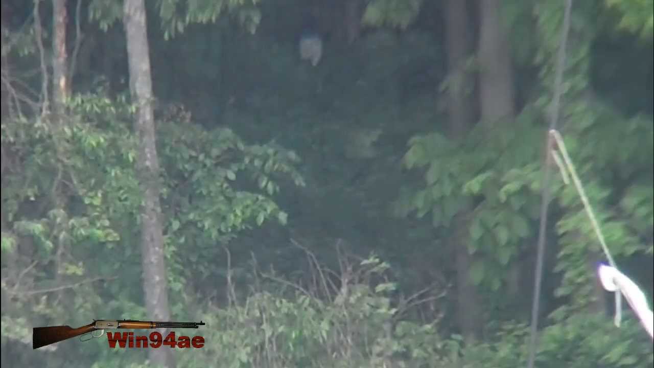 Win94ae 30-30, Iron Sights, 8 Inch Target, 400 Yards