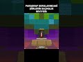 Paragraf sorularındaki şiirlerin saçmalık seviyesi  #minecraft