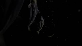 IMG 4144