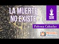 La muerte no existe por Paloma Cabadas