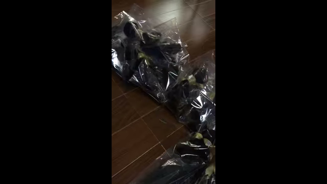 Big Order Today Sell All Hair Out
