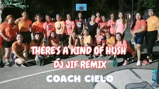 There's a Kind of Hush [ Dj Jiff Remix] Retro] Carpinters] Dance workout] with Univille Ladies.