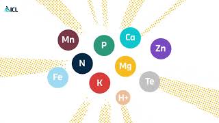 Agrolution Special: the All-in-One Fertilizer Solution from ICL, Developed for Soft Water screenshot 3