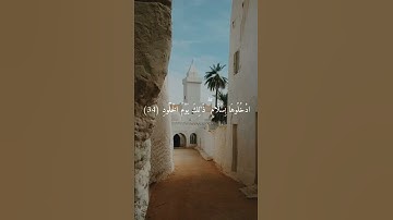 راحة نفسية ❤️ حالات واتس اب قرآن كريم بصوت جميل ❤️🌿