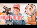NEW PUPPY HAUL // PUPPY ESSENTIALS YOU NEED!