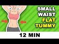 12 min Small Waist Workout // Hourglass Figure + Flat Tummy