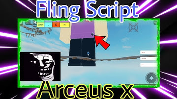 Roblox Arceus X Fling Script Works on Any Games