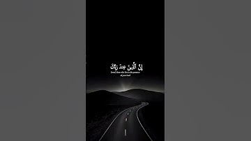 اكتب شيء تؤجر عليه 😴💚 قران كريم _ ياسر الدوسري