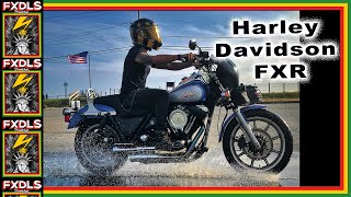 Is the FXR the BEST all around bike?!