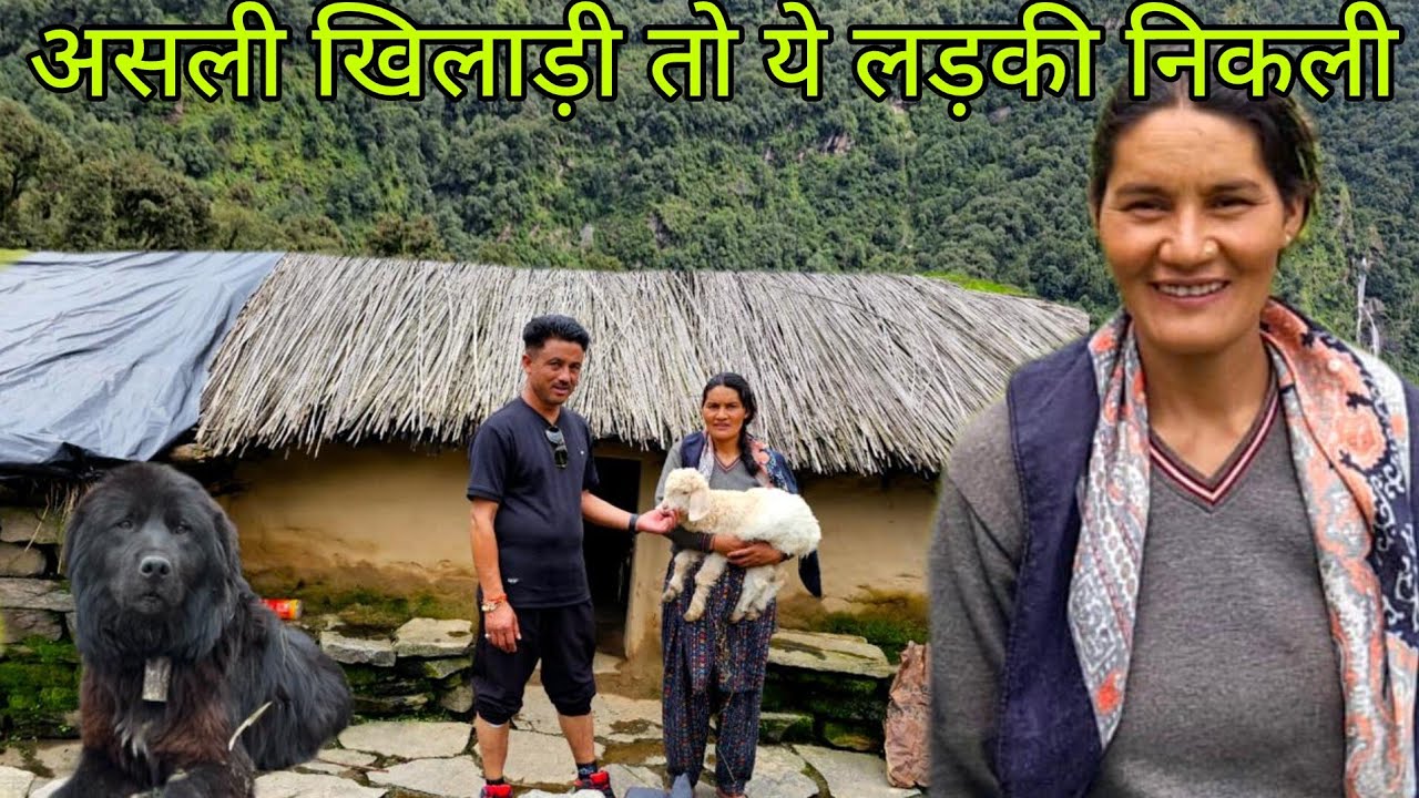 घनघोर जंगलों में इस लड़की की तपस्या को सलाम || sheferd life || Namik Glacier Trek 