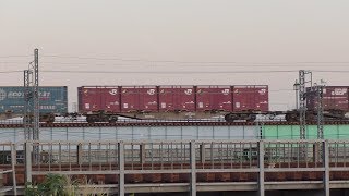 【JR貨物】１０５６レ ＥＦ８１-５０２ ２０Ｄ新コン積載