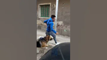 حرام عليك والله بيخلي الكلب يجري وراه 