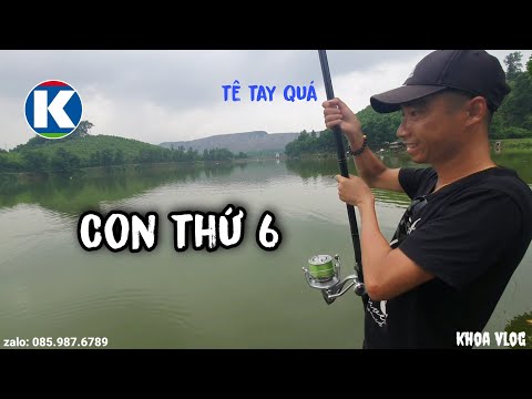 Câu Lục | Săn Trắm Đen 15kg ở Hồ Câu Tạm Giam tỉnh Thái Nguyên