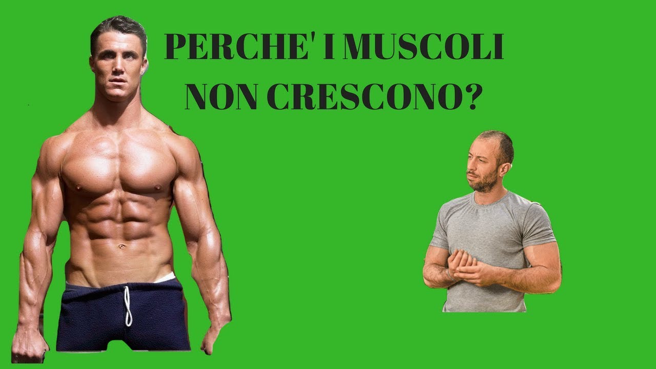 Faccio Pesi Ma I Muscoli Non Crescono