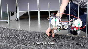 Embodiment & Locomotion