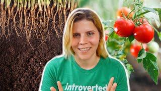 Let's talk about PLANTS! *hugelkultur & container gardening*