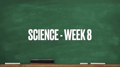 CC Cycle 1 Week 8 Science