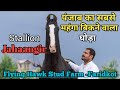 पंजाब का सबसे महंगा बिकने वाला घोड़ा जहांगीर - Flying Hawk Stud Farm Faridkot