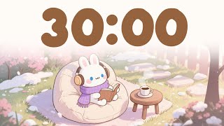 Winter Study timer 🎵 30 minute timer for classroom