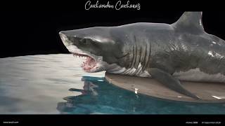 Carcharodon Carcharias Houdini Project