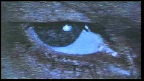 【映画】ヴァイラス VIRUS 日本劇場予告