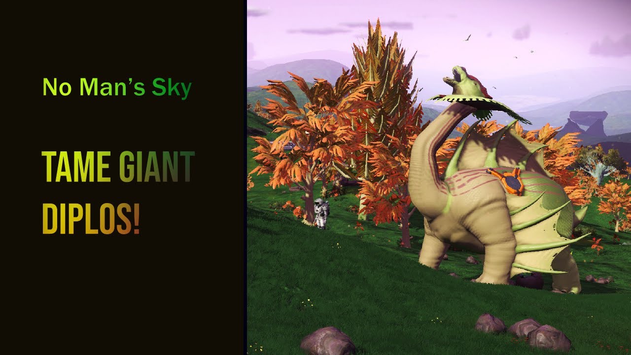 Giant Diplos! Where To Find - No Man's Sky - YouTube