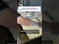 Fryer Gas 40L REVON: Hasil Konsisten, Hemat Waktu | Burner Medium-Pressure Otomatis