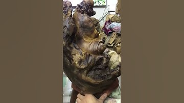 Tượng Đạt Ma ngồi thiền gỗ bách xanh ôm đá tự nhiên