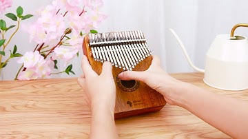 《加勒比海盗》fedora21keys kalimba