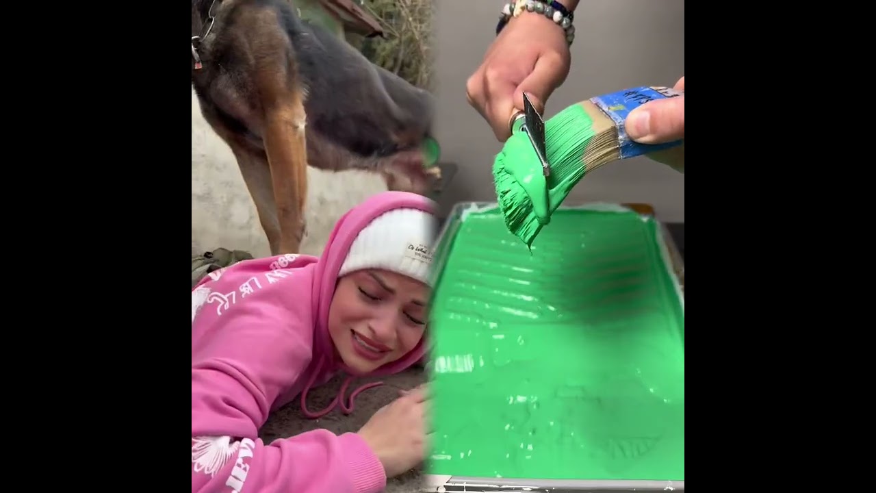 🤣👌👌👌2026 pov Must-Watch Crazy Clips Compilation 