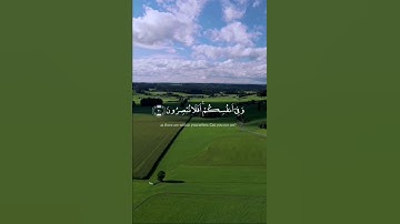 تلاوة خاشعة | سعود الشريم | #تلاوة_خاشعة #قران_كريم #راحة_نفسية