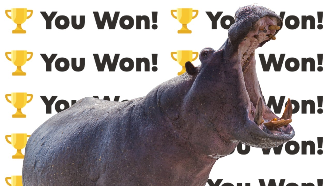 13 Hippopotamus Defense Chess Games You NEED To See