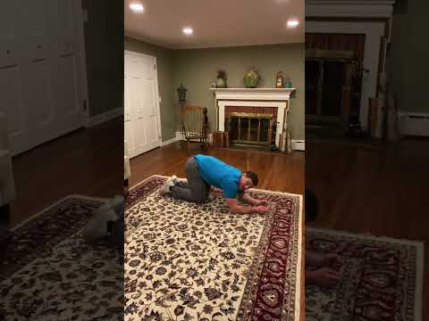 Core exercise progression from beginner to expert