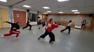 THYLACINE - Anatolia / Contemporain \ Choreo Guillaume Laisney