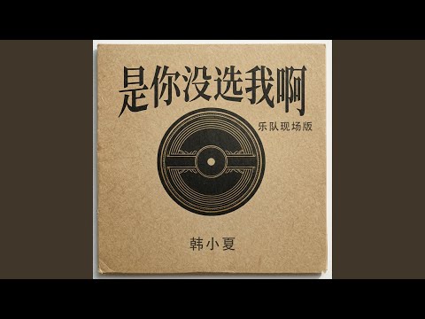 是你没选我啊 (乐队现场版)