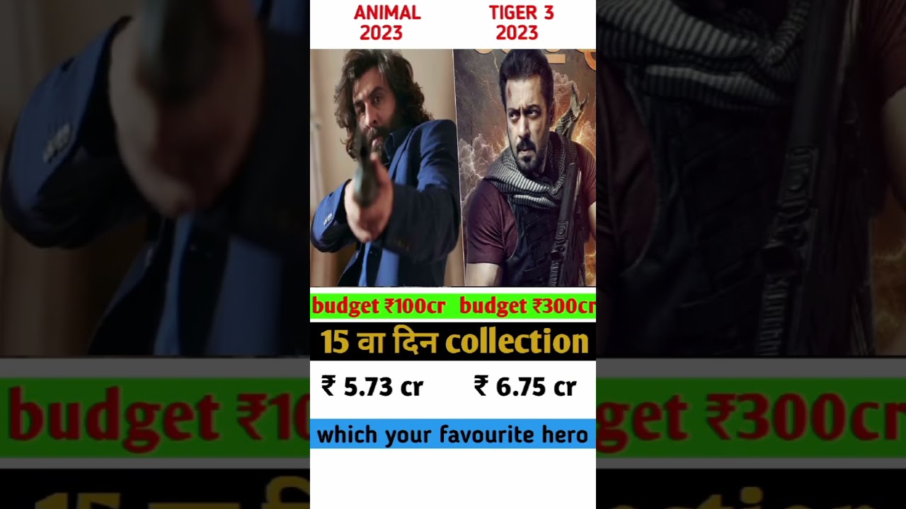animal vs tiger 3 15 va days box office collection 🔥 