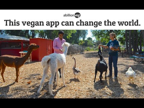 The abv story - a vegan app that'll change the world