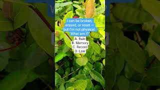 I Can Be Broken Erased Or Reset  But Im Not Physical What Am I