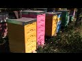 Пчеловодство.10-Рамочный Улей Из ППС у Измайлова Г.Б