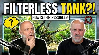 Do Filterless Aquariums Work